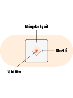 cach-cham-soc-tre-sau-khi-tiem-vaccin